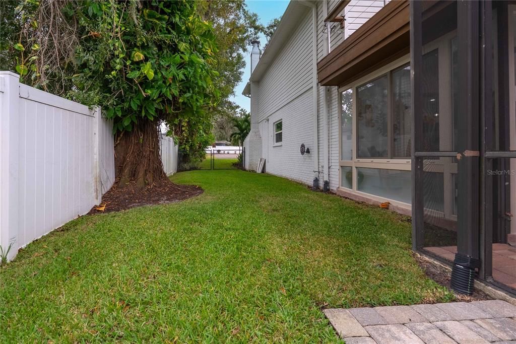Backyard, Exterior