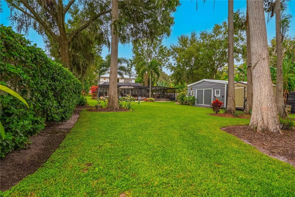 Backyard, Exterior