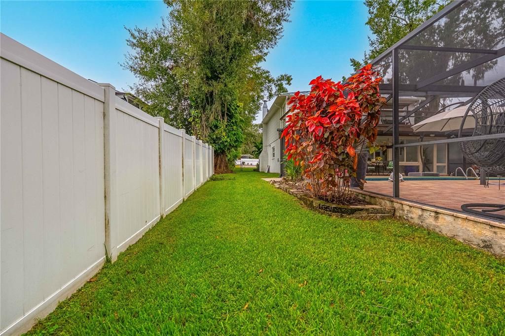 Backyard, Exterior