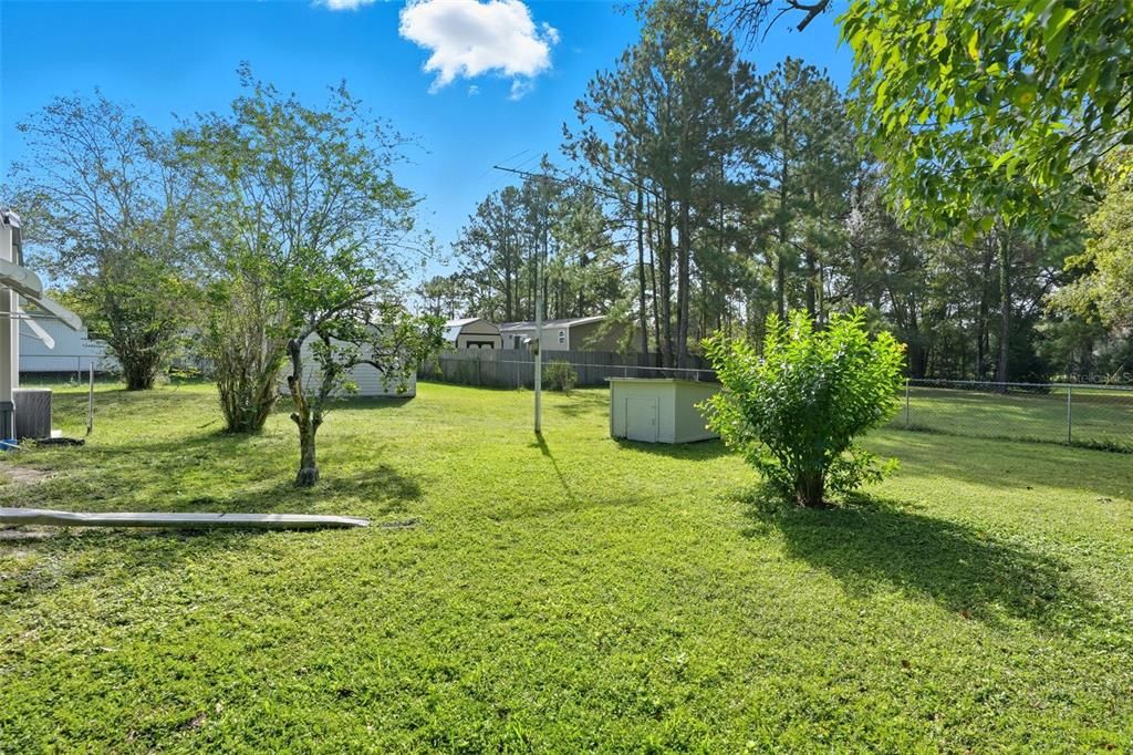 Backyard, Exterior