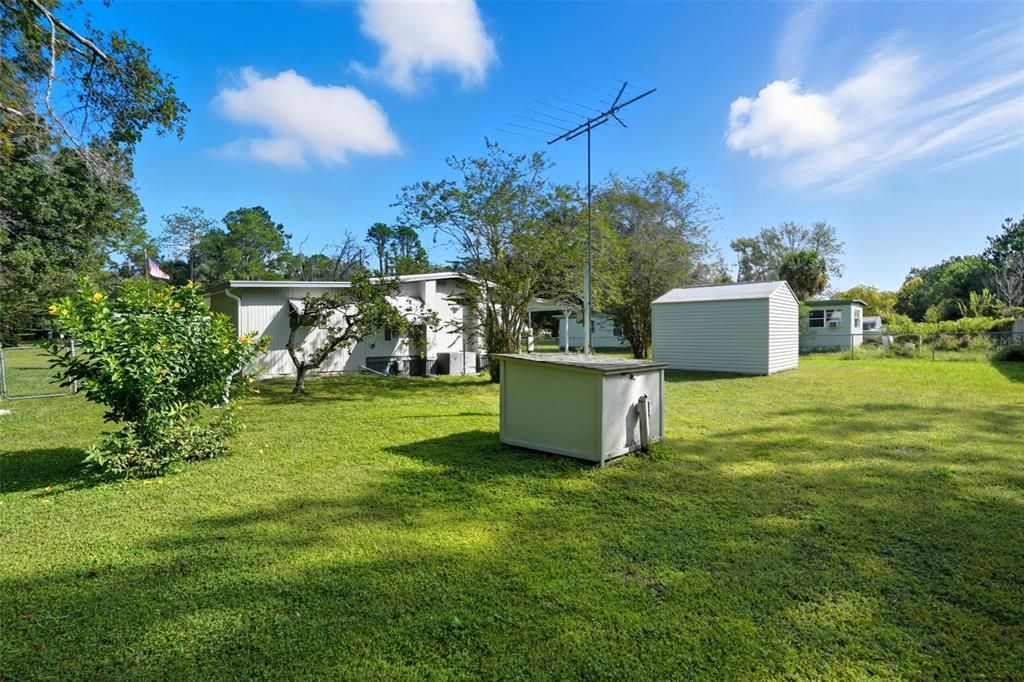 Backyard, Exterior
