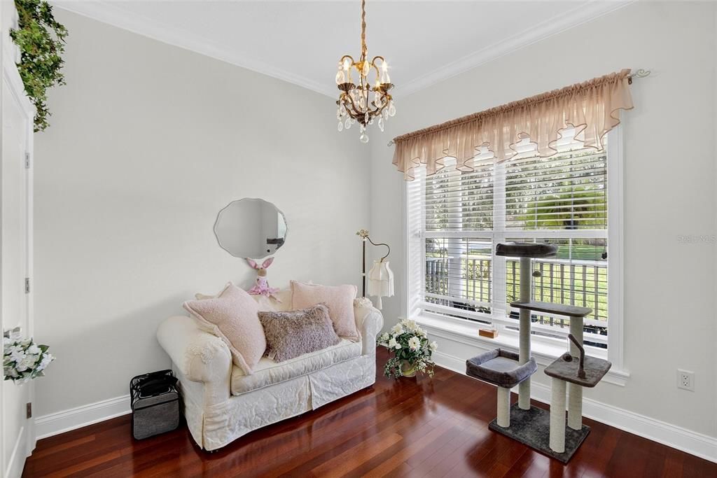 Chandelier, Interior, Wood Texture Flooring