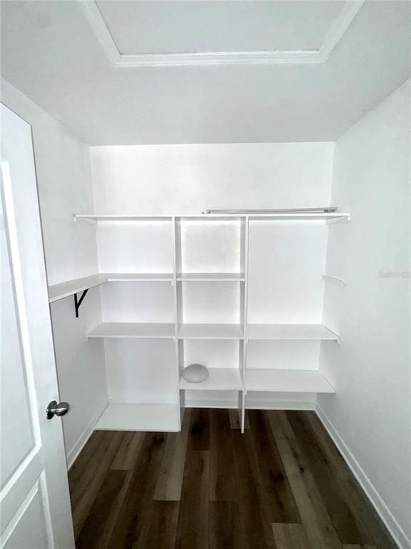 Interior, Walk-in Closets, Wood Texture Flooring