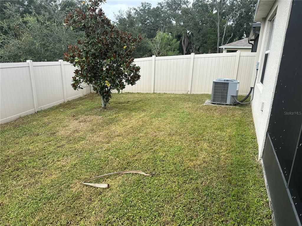 Backyard, Exterior
