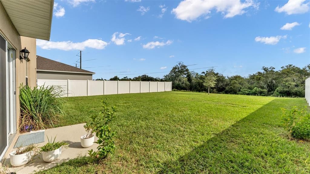 Backyard, Exterior