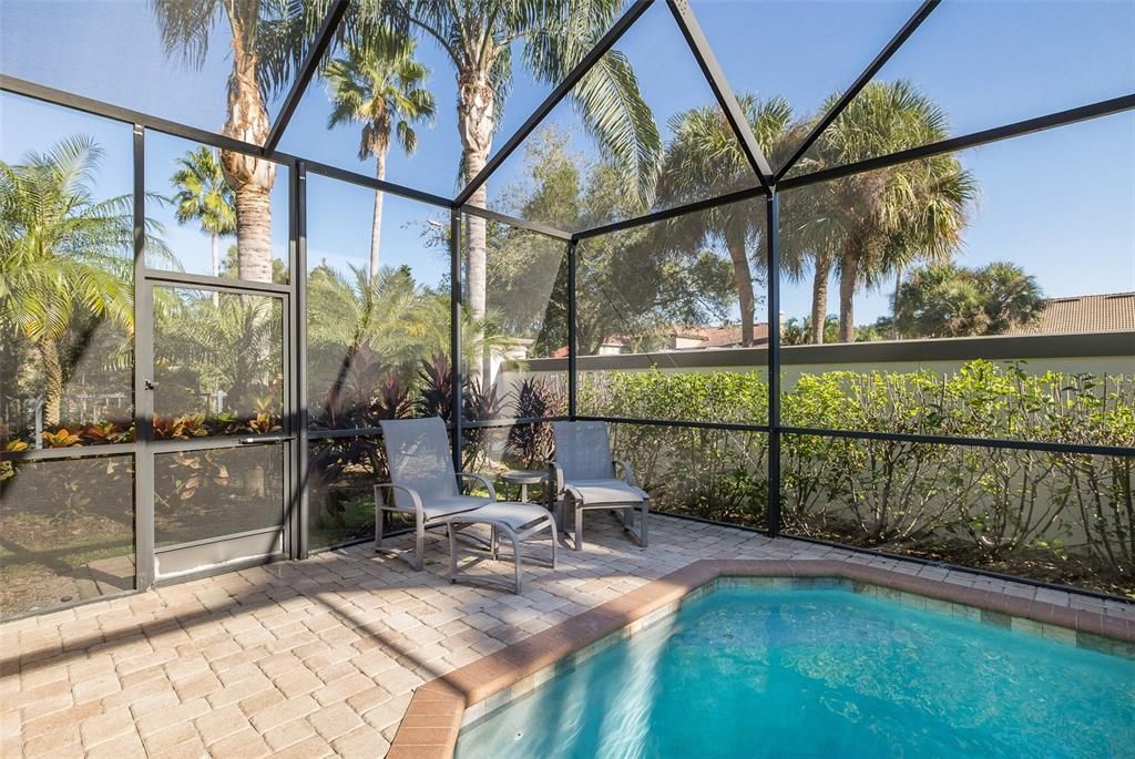 Glass Ceilings, Interior, Pool, Sun Room
