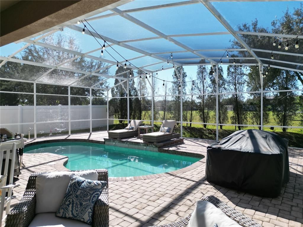 Glass Ceilings, Interior, Pool, Sun Room