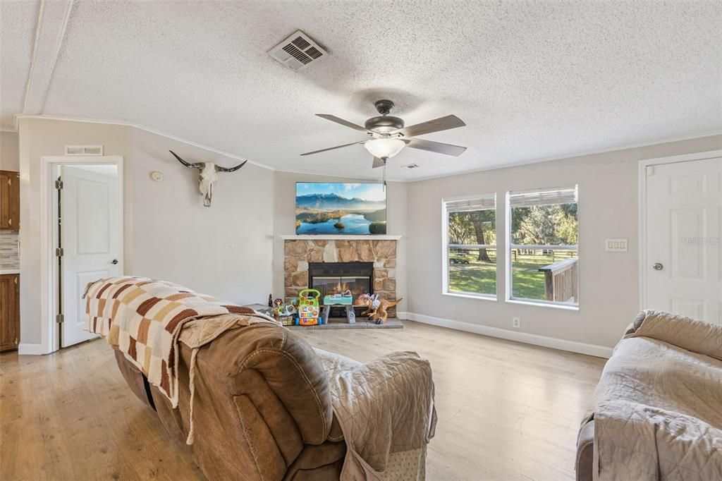 Fireplace, Interior, Wood Texture Flooring
