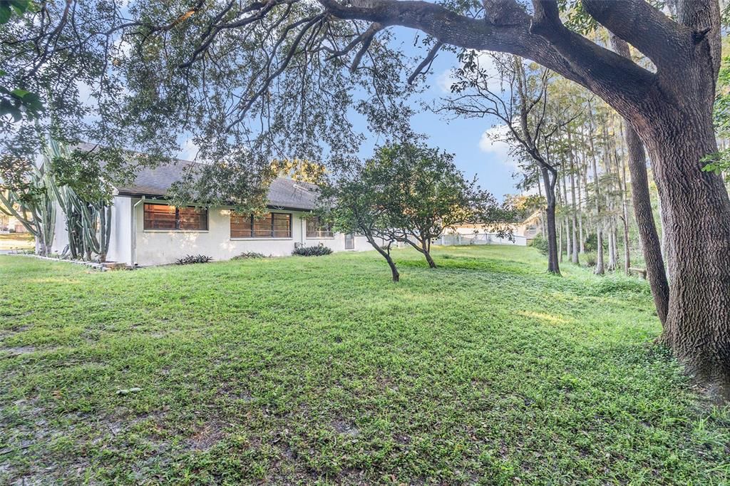 Backyard, Exterior