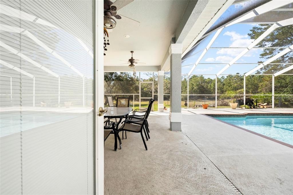 Glass Ceilings, Interior, Pool, Sun Room