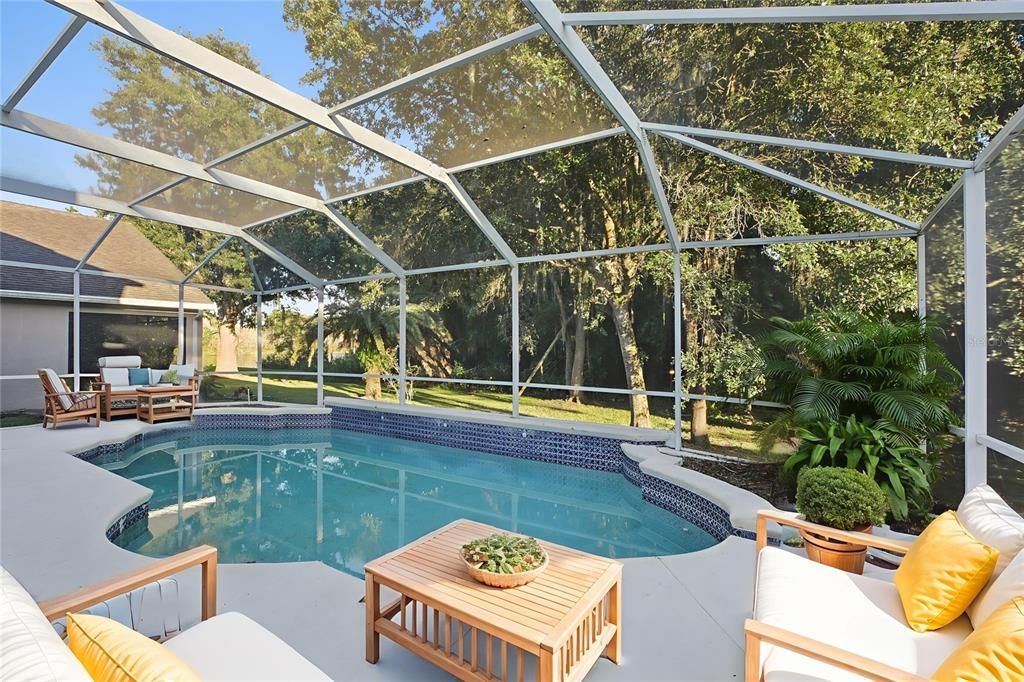 Glass Ceilings, Interior, Pool, Sun Room