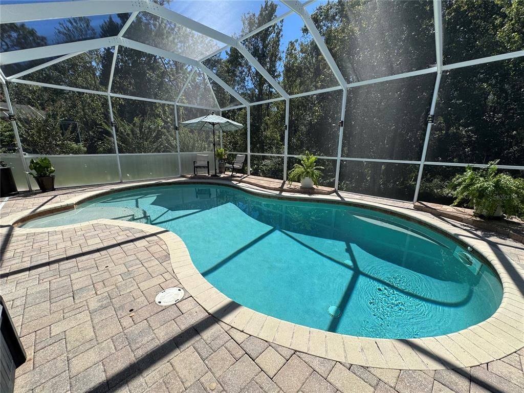 Glass Ceilings, Interior, Pool, Sun Room