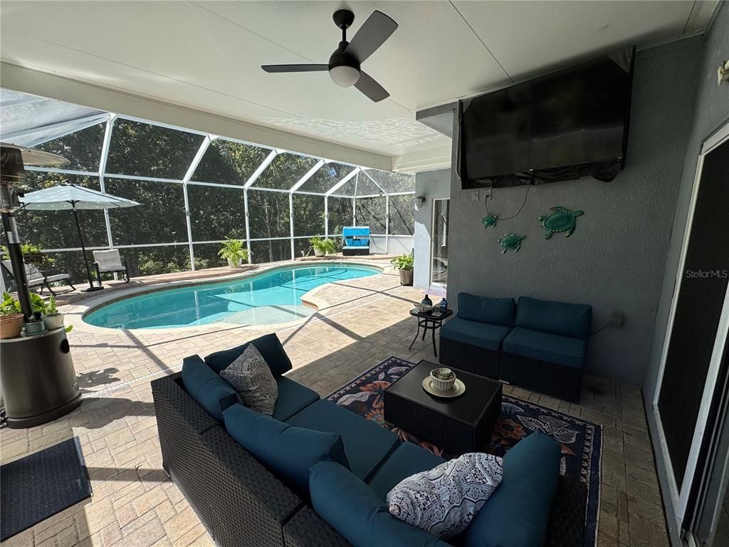 Glass Ceilings, Interior, Pool, Sun Room