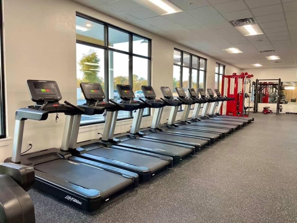 Fitness Equipment, Gym, Interior, Recessed Lighting