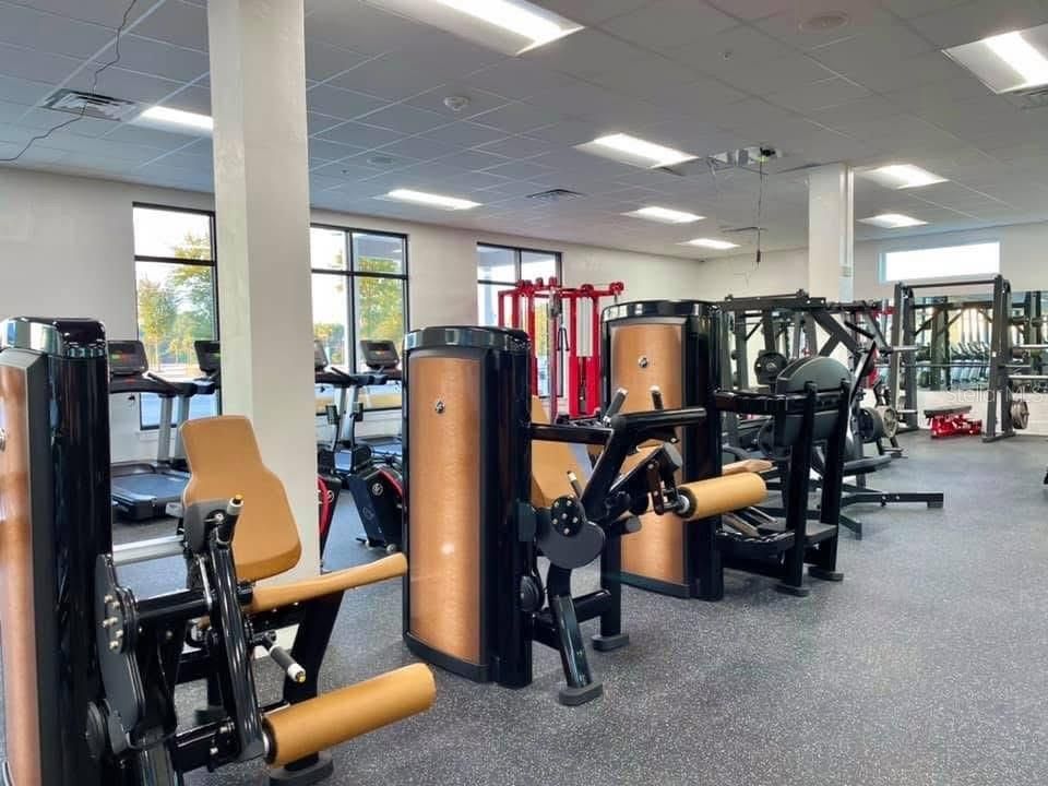 Fitness Equipment, Gym, Interior, Recessed Lighting