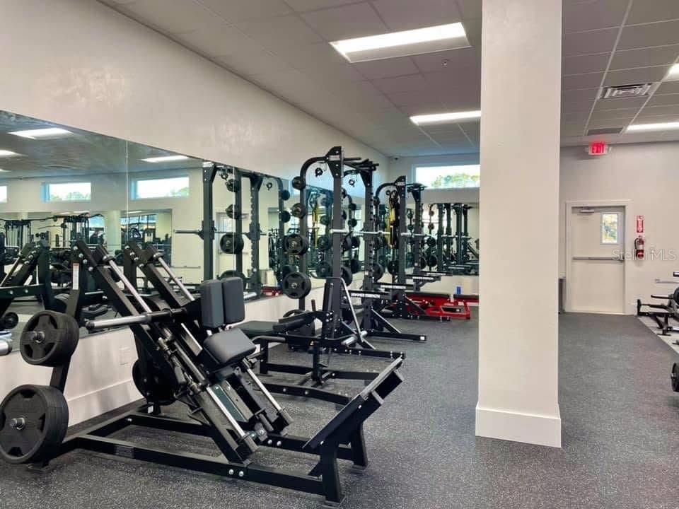 Fitness Equipment, Gym, Interior, Recessed Lighting