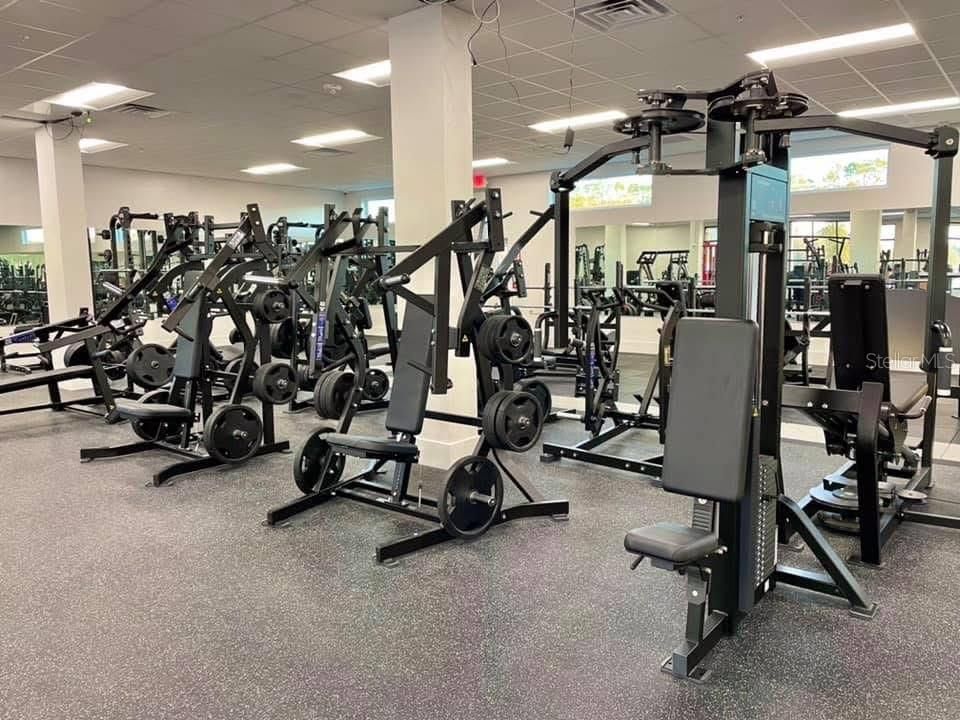 Fitness Equipment, Gym, Interior, Recessed Lighting