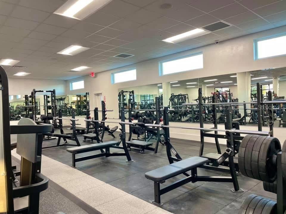 Fitness Equipment, Gym, Interior, Recessed Lighting