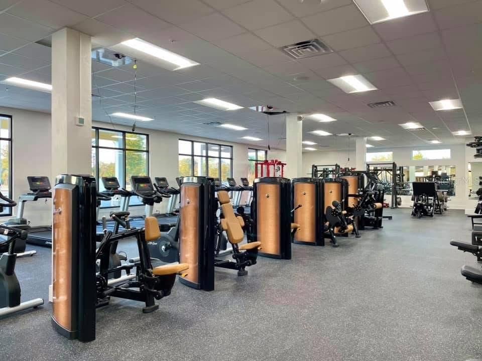 Fitness Equipment, Gym, Interior, Recessed Lighting
