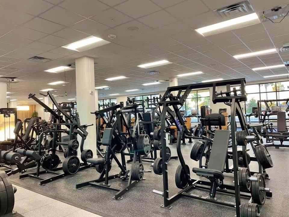 Fitness Equipment, Gym, Interior, Recessed Lighting