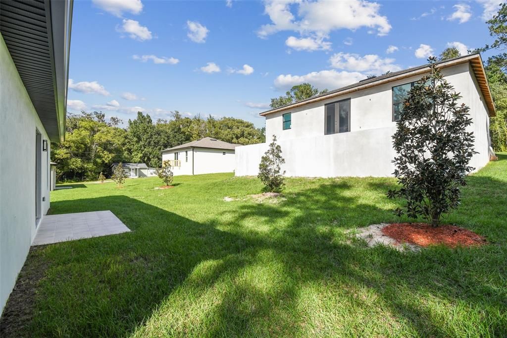 Backyard, Exterior