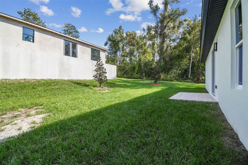 Backyard, Exterior