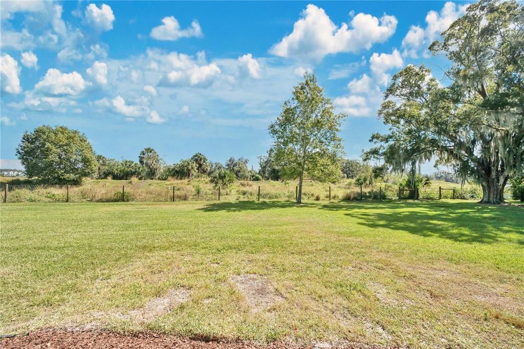 Backyard, Exterior