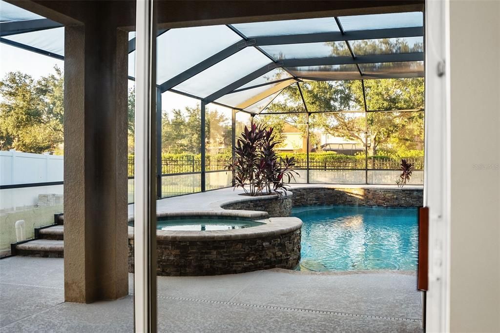 Glass Ceilings, Interior, Pool, Sun Room