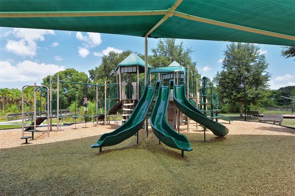 Backyard, Exterior, Playground