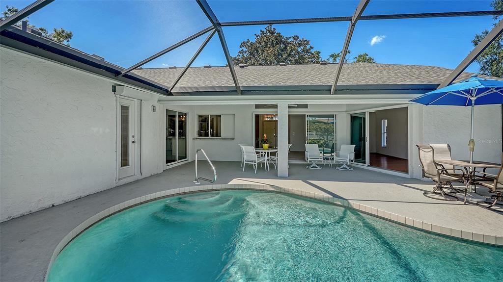 Glass Ceilings, Interior, Pool, Sun Room