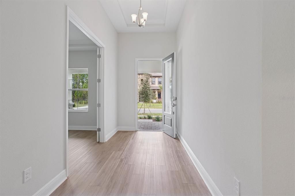 Interior, Wood Texture Flooring
