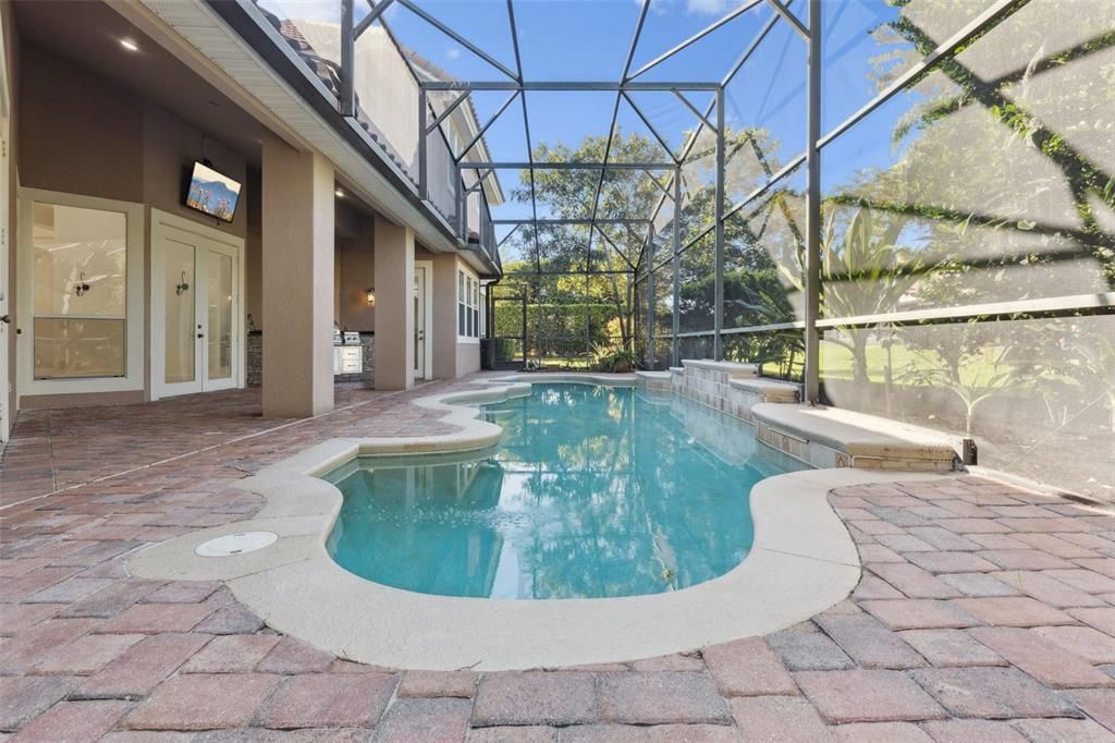 Glass Ceilings, Interior, Pool, Sun Room