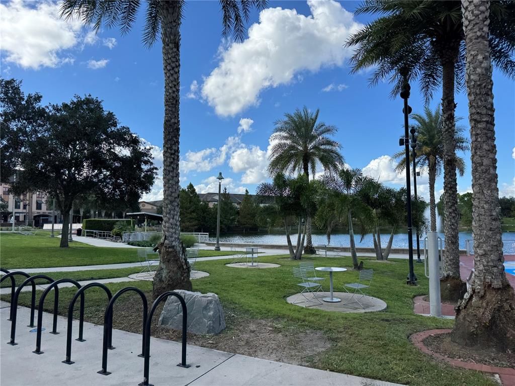 Backyard, Exterior, Water