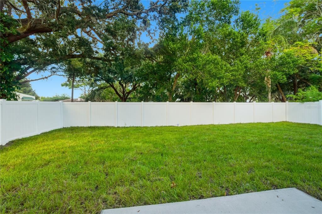 Backyard, Exterior