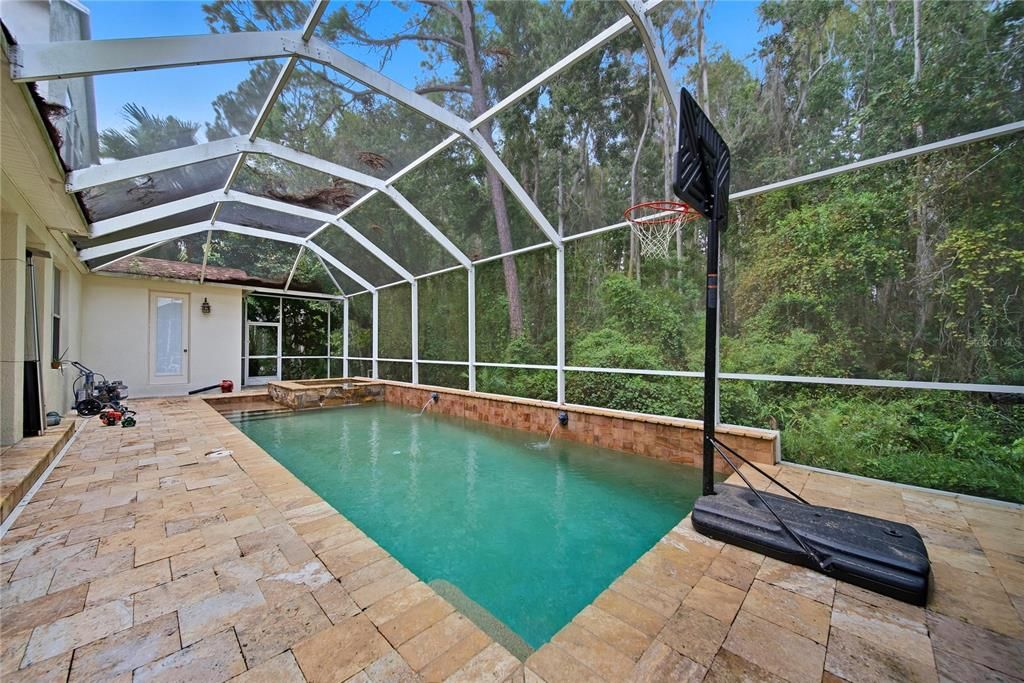 Glass Ceilings, Interior, Pool, Sun Room