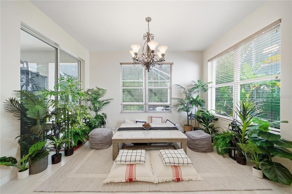 Chandelier, Dining room, Interior