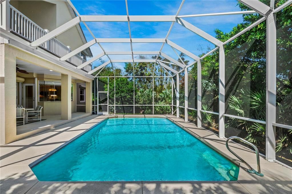 Glass Ceilings, Interior, Pool, Sun Room
