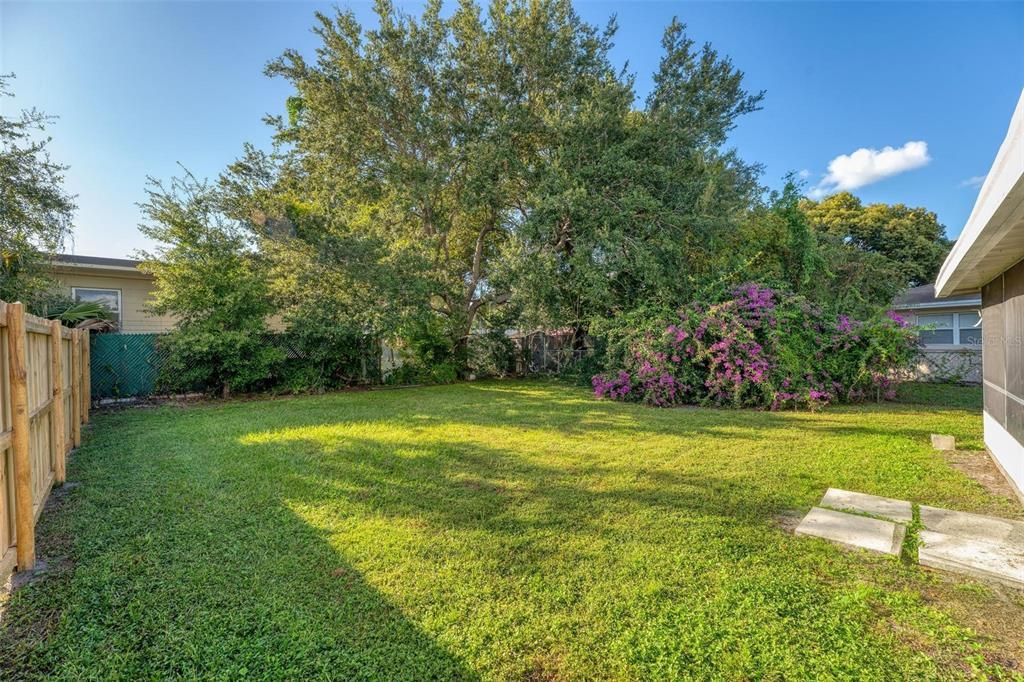 Backyard, Exterior
