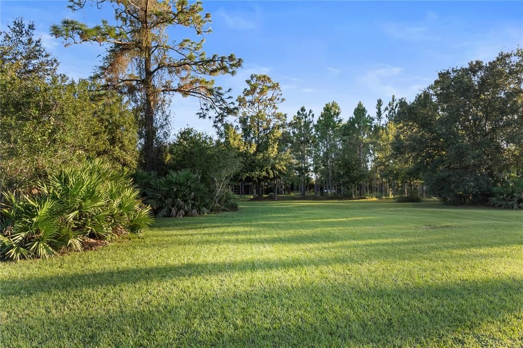 Backyard, Exterior