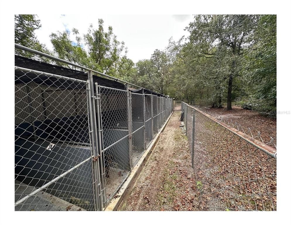 Exterior, Tennis Courts