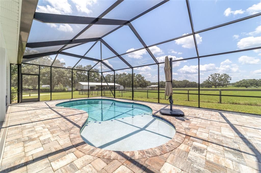 Glass Ceilings, Interior, Pool, Sun Room