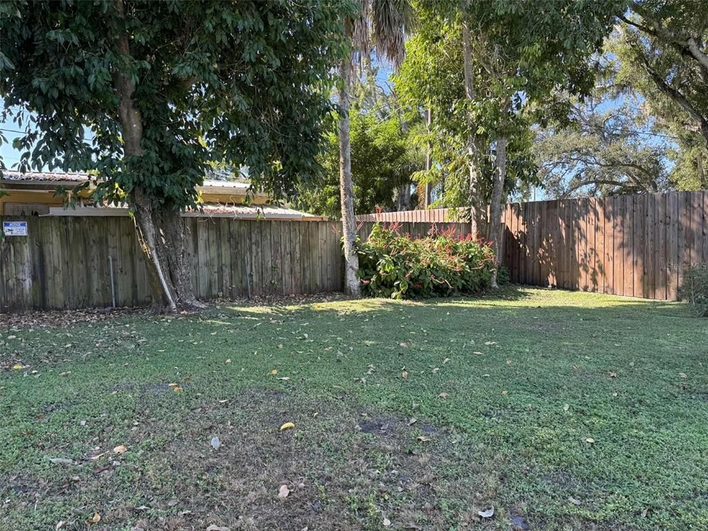 Backyard, Exterior