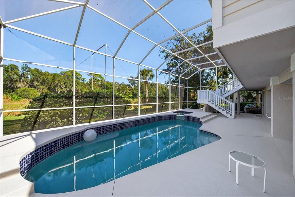 Glass Ceilings, Interior, Pool, Sun Room