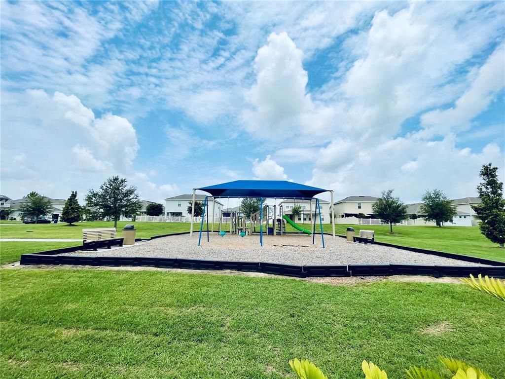 Backyard, Exterior, Playground