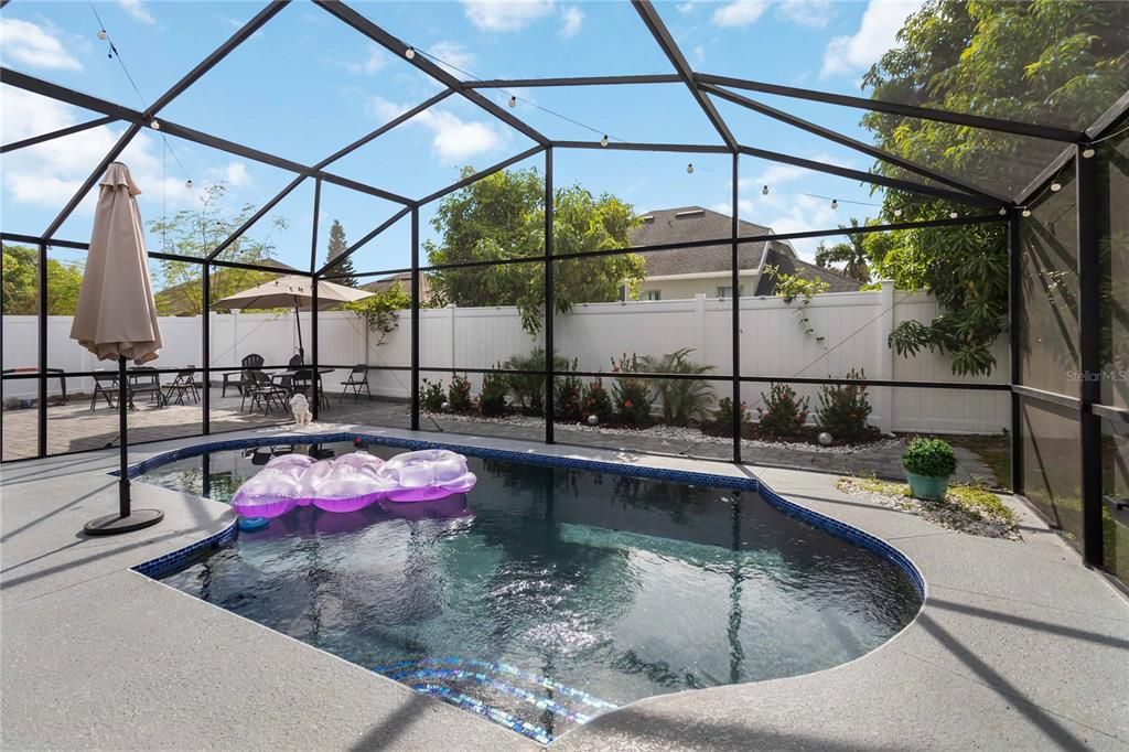 Glass Ceilings, Interior, Pool, Sun Room