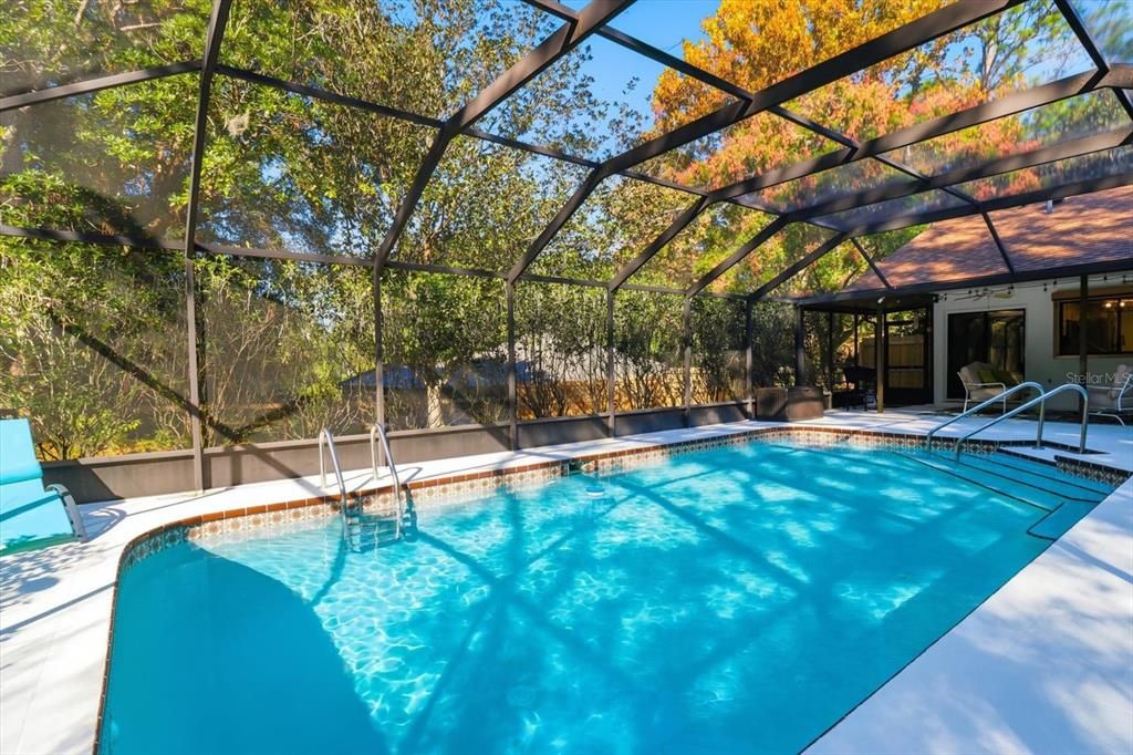 Glass Ceilings, Interior, Pool, Sun Room