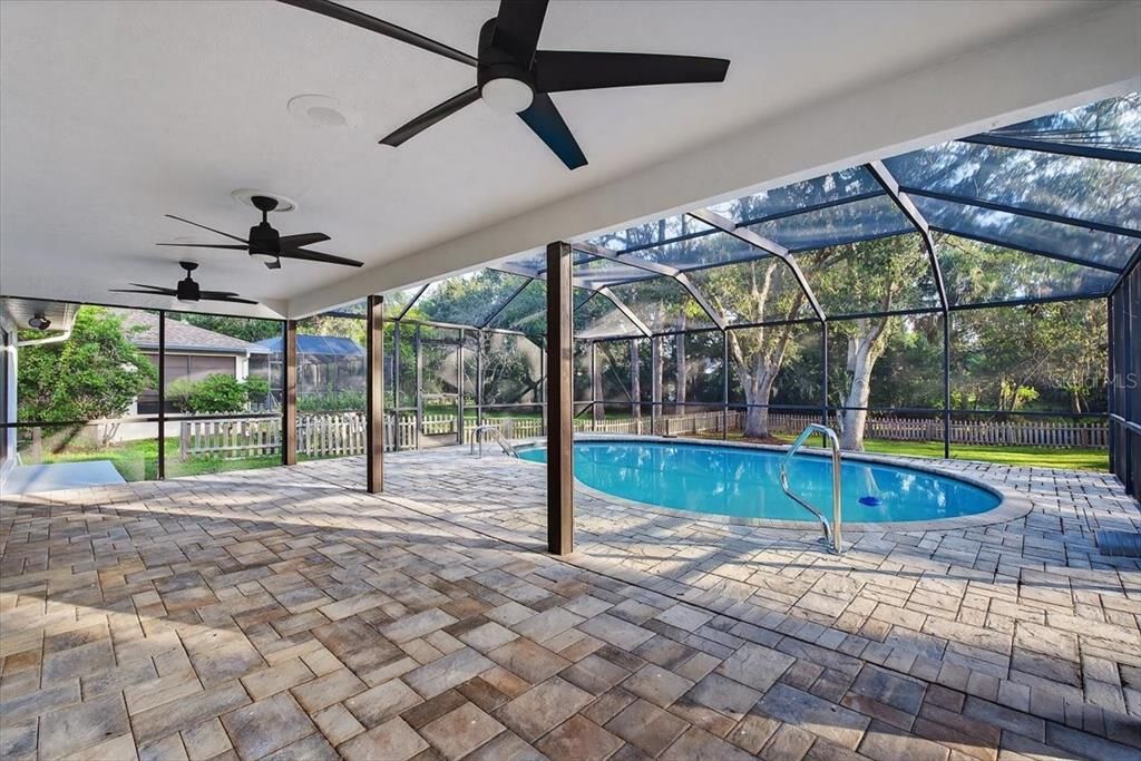 Glass Ceilings, Interior, Pool, Sun Room