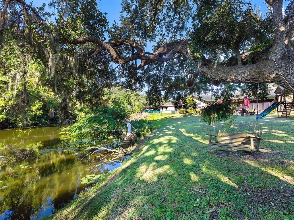 Backyard, Exterior, Playground