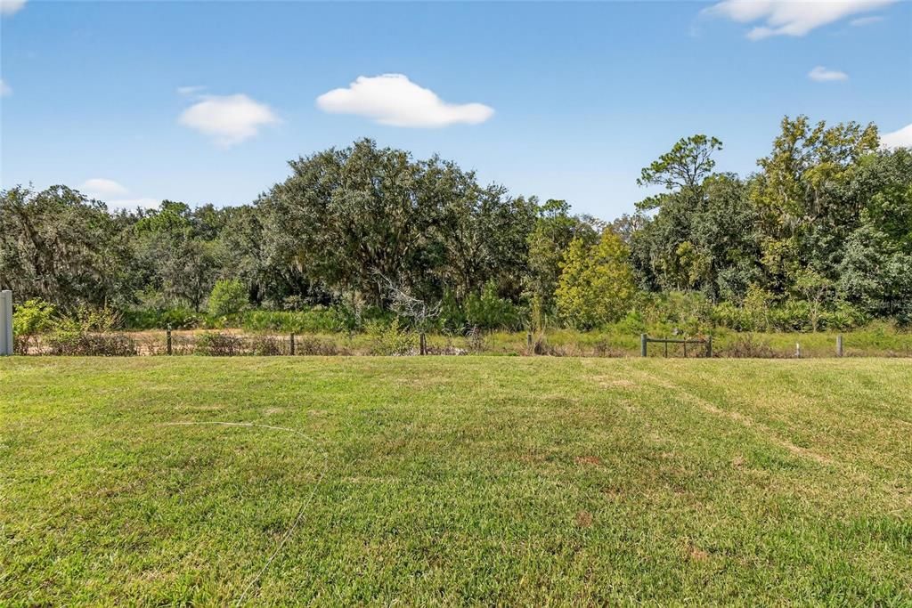 Backyard, Exterior