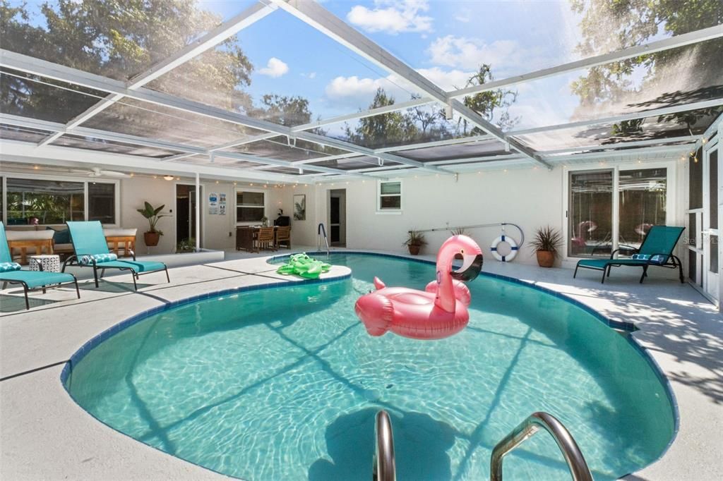 Glass Ceilings, Interior, Pool, Sun Room